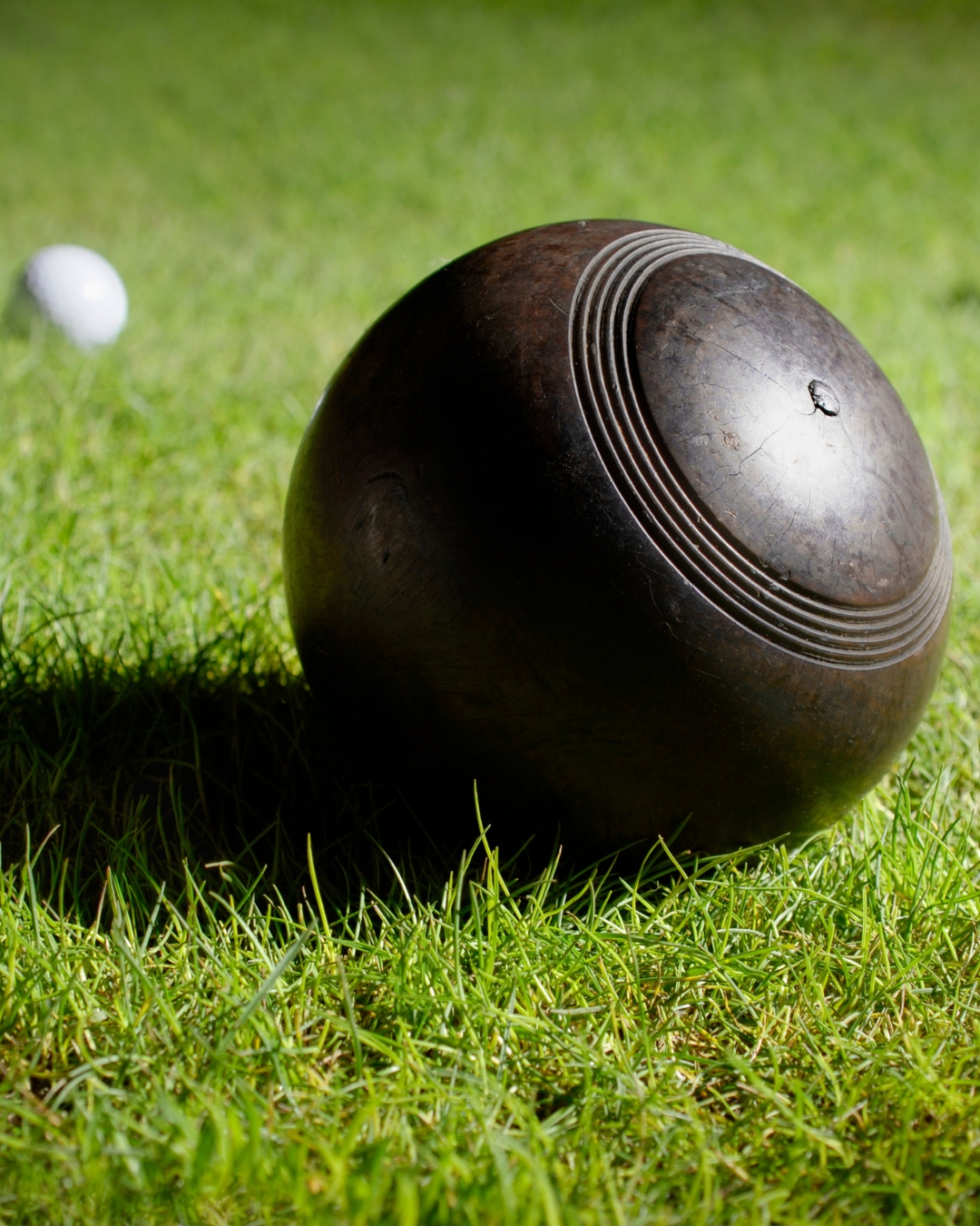 bowls