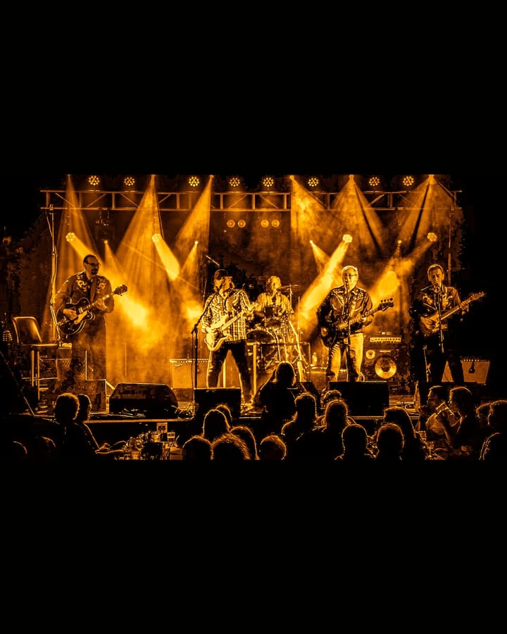 Featured image for “Creedence & Friends Live at Club Sapphire”